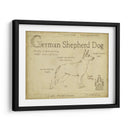 Antiguo Pastor Alemán (Ceniza) - Ethan Harper | Cuadro decorativo de Canvas Lab