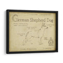 Antiguo Pastor Alemán (Ceniza) - Ethan Harper | Cuadro decorativo de Canvas Lab