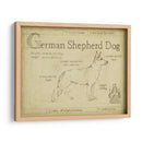 Antiguo Pastor Alemán (Ceniza) - Ethan Harper | Cuadro decorativo de Canvas Lab