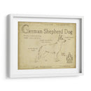 Antiguo Pastor Alemán (Ceniza) - Ethan Harper | Cuadro decorativo de Canvas Lab