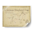 Antiguo Pastor Alemán (Ceniza) - Ethan Harper | Cuadro decorativo de Canvas Lab