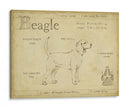 Beagle Antiguo (Ceniza) - Ethan Harper | Cuadro decorativo de Canvas Lab