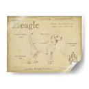 Beagle Antiguo (Ceniza) - Ethan Harper | Cuadro decorativo de Canvas Lab