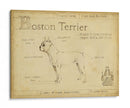 Antiguo Boston Terrier (Ash) - Ethan Harper | Cuadro decorativo de Canvas Lab