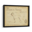 Antiguo Boston Terrier (Ash) - Ethan Harper | Cuadro decorativo de Canvas Lab