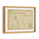 Antiguo Boston Terrier (Ash) - Ethan Harper | Cuadro decorativo de Canvas Lab