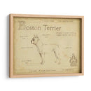 Antiguo Boston Terrier (Ash) - Ethan Harper | Cuadro decorativo de Canvas Lab