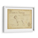 Antiguo Boston Terrier (Ash) - Ethan Harper | Cuadro decorativo de Canvas Lab