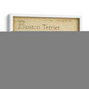 Antiguo Boston Terrier (Ash) - Ethan Harper | Cuadro decorativo de Canvas Lab