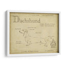 Antiguo Dachsund (Ash) - Ethan Harper | Cuadro decorativo de Canvas Lab