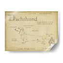 Antiguo Dachsund (Ash) - Ethan Harper | Cuadro decorativo de Canvas Lab