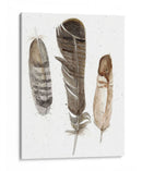 Plumas De Tierra Personalizada I (Ash) - Alicia Ludwig | Cuadro decorativo de Canvas Lab