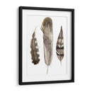 Plumas De Terrenales Personalizadas Ii (Ash) - Alicia Ludwig | Cuadro decorativo de Canvas Lab