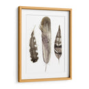 Plumas De Terrenales Personalizadas Ii (Ash) - Alicia Ludwig | Cuadro decorativo de Canvas Lab