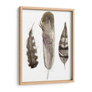 Plumas De Terrenales Personalizadas Ii (Ash) - Alicia Ludwig | Cuadro decorativo de Canvas Lab
