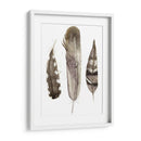 Plumas De Terrenales Personalizadas Ii (Ash) - Alicia Ludwig | Cuadro decorativo de Canvas Lab