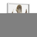 Plumas De Terrenales Personalizadas Ii (Ash) - Alicia Ludwig | Cuadro decorativo de Canvas Lab