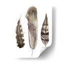 Plumas De Terrenales Personalizadas Ii (Ash) - Alicia Ludwig | Cuadro decorativo de Canvas Lab