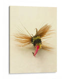 Macro Macro Hiv (Ceniza) - Judy Stalus | Cuadro decorativo de Canvas Lab