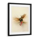 Macro Macro Hiv (Ceniza) - Judy Stalus | Cuadro decorativo de Canvas Lab