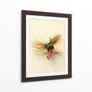 Macro Macro Hiv (Ceniza) - Judy Stalus | Cuadro decorativo de Canvas Lab