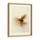 Macro Macro Hiv (Ceniza) - Judy Stalus | Cuadro decorativo de Canvas Lab