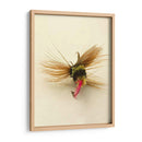 Macro Macro Hiv (Ceniza) - Judy Stalus | Cuadro decorativo de Canvas Lab