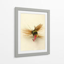 Macro Macro Hiv (Ceniza) - Judy Stalus | Cuadro decorativo de Canvas Lab