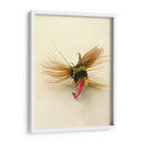 Macro Macro Hiv (Ceniza) - Judy Stalus | Cuadro decorativo de Canvas Lab