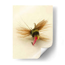 Macro Macro Hiv (Ceniza) - Judy Stalus | Cuadro decorativo de Canvas Lab