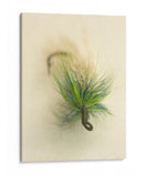 Macro Macro Lures Vi (Cesh) - Judy Stalus | Cuadro decorativo de Canvas Lab