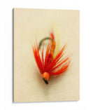 Macro Macro Lures Viii (Cesh) - Judy Stalus | Cuadro decorativo de Canvas Lab