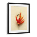 Macro Macro Lures Viii (Cesh) - Judy Stalus | Cuadro decorativo de Canvas Lab