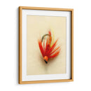 Macro Macro Lures Viii (Cesh) - Judy Stalus | Cuadro decorativo de Canvas Lab