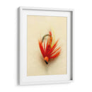 Macro Macro Lures Viii (Cesh) - Judy Stalus | Cuadro decorativo de Canvas Lab