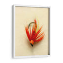 Macro Macro Lures Viii (Cesh) - Judy Stalus | Cuadro decorativo de Canvas Lab