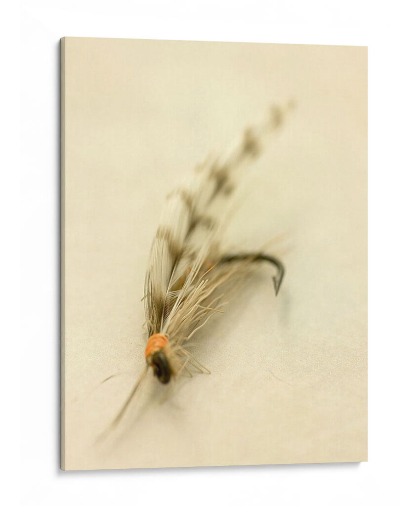 Macro Macro Lures Ix (Cesh) - Judy Stalus | Cuadro decorativo de Canvas Lab