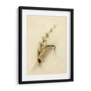 Macro Macro Lures Ix (Cesh) - Judy Stalus | Cuadro decorativo de Canvas Lab