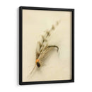 Macro Macro Lures Ix (Cesh) - Judy Stalus | Cuadro decorativo de Canvas Lab