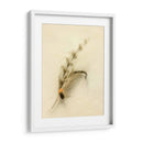Macro Macro Lures Ix (Cesh) - Judy Stalus | Cuadro decorativo de Canvas Lab