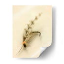 Macro Macro Lures Ix (Cesh) - Judy Stalus | Cuadro decorativo de Canvas Lab