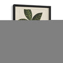 Hojas De Silva Personalizadas I (Ash) - John Silva | Cuadro decorativo de Canvas Lab