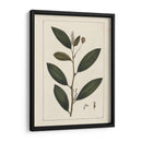 Hojas De Silva Personalizada V (Ash) - John Silva | Cuadro decorativo de Canvas Lab