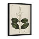 Hojas De Silva Personalizadas Vi (Ash) - John Silva | Cuadro decorativo de Canvas Lab