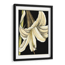 Gráfico Lily Iv - Jennifer Goldberger | Cuadro decorativo de Canvas Lab