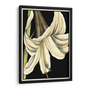 Gráfico Lily Iv - Jennifer Goldberger | Cuadro decorativo de Canvas Lab