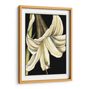 Gráfico Lily Iv - Jennifer Goldberger | Cuadro decorativo de Canvas Lab