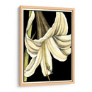 Gráfico Lily Iv - Jennifer Goldberger | Cuadro decorativo de Canvas Lab