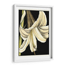Gráfico Lily Iv - Jennifer Goldberger | Cuadro decorativo de Canvas Lab