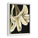 Gráfico Lily Iv - Jennifer Goldberger | Cuadro decorativo de Canvas Lab